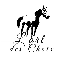 L'Art Des Choix
